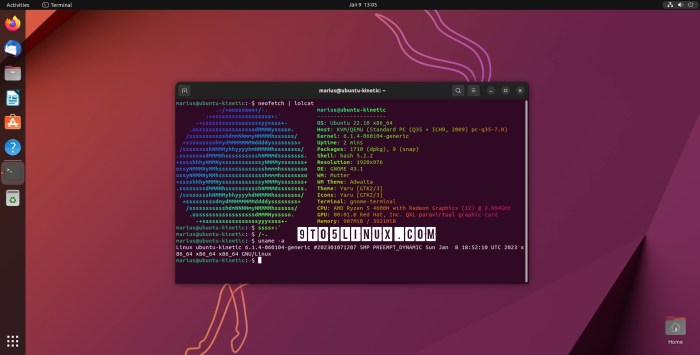 Linux kernel 6 13