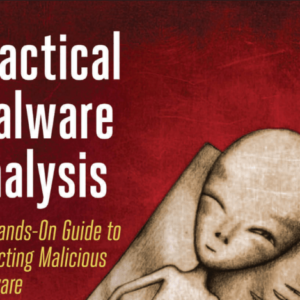 Attack Vectors with a Malware Sandbox