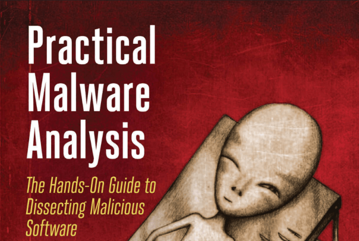 Attack Vectors with a Malware Sandbox