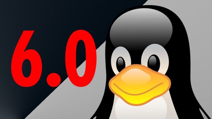 Linux kernel 6 13