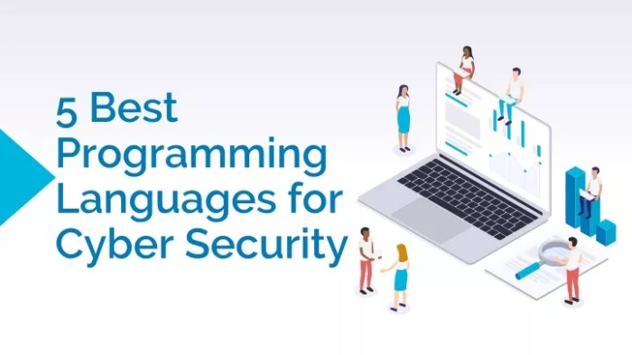 Programming languages for cyber security