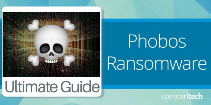 Phobos ransomware admin extradited