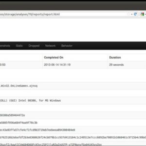 Malware Analysis Report A Deep Dive