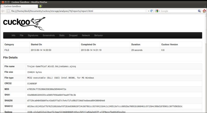 Malware analysis report