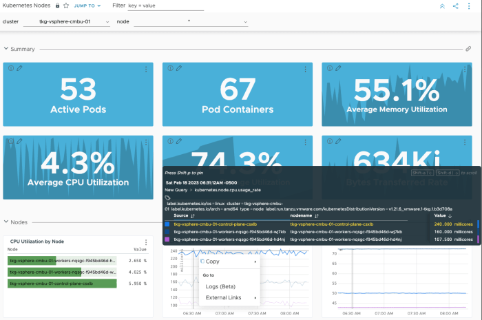 Vmware aria operations vulnerabilities