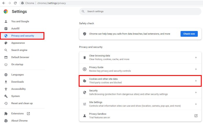 Bypassing chromes cookie protection