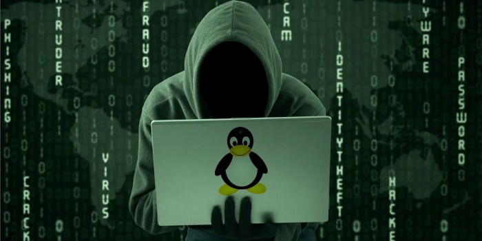 Vulnerabilities linux hacking ethical network powerpoint continued Multiple linux kernel vulnerabilities