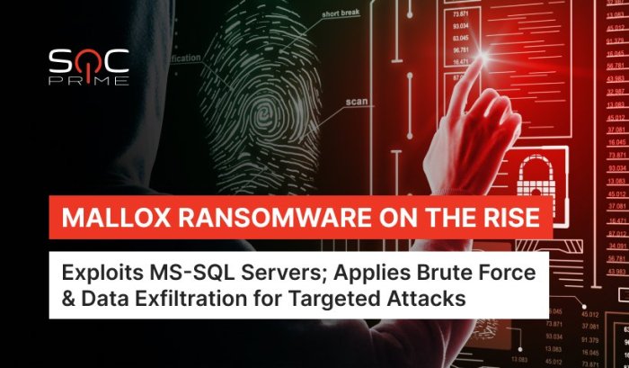 Mallox ransomware decrypted