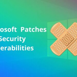 Microsoft November Patch Tuesday Critical Updates