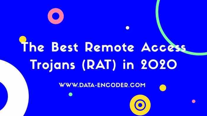 Darkcomet rat