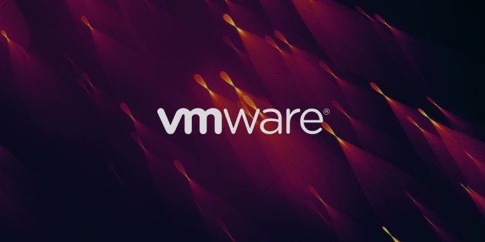Vmware vcenter server rce vulnerability