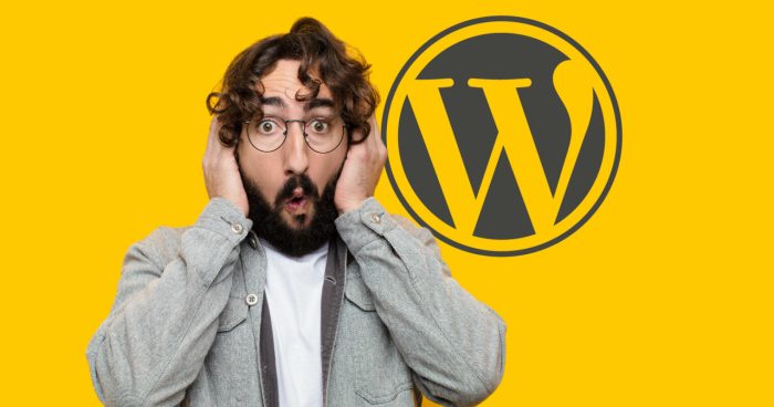 Wordpress plugin flaw 3