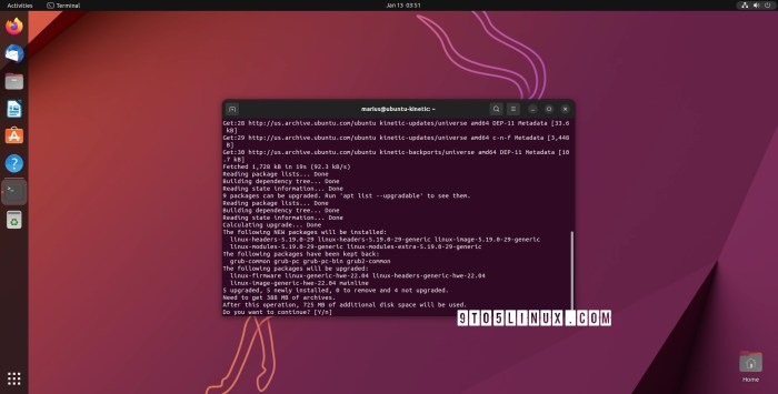 10 year old flaws in ubuntu server