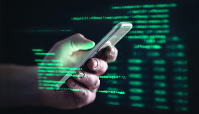 Palo alto android flaws exploited