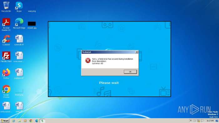 Analyzing malwares network traffic