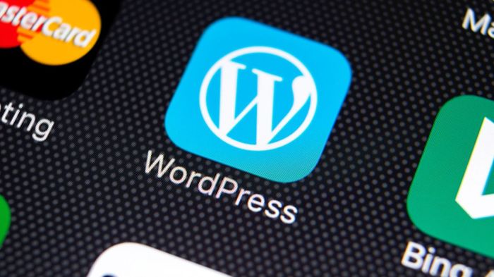 Wordpress plugin flaw 3