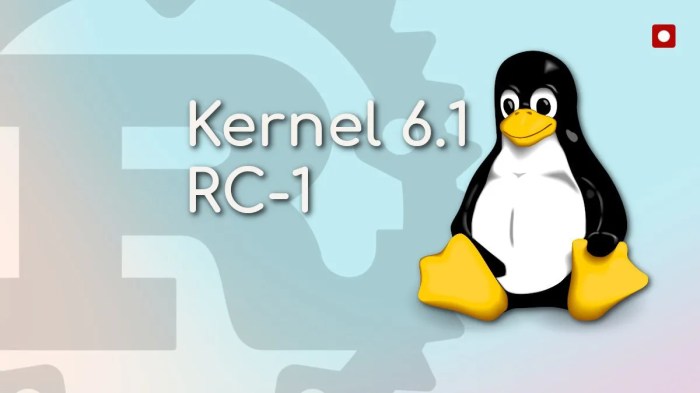 Linux kernel 6 13