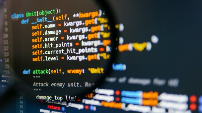 Programming languages for cyber security