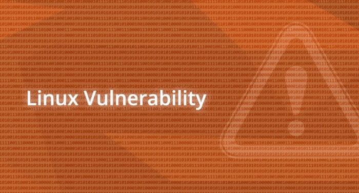10 year old flaws in ubuntu server