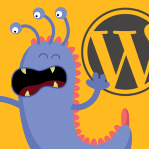 WordPress Plugin Flaw 3 A Deep Dive