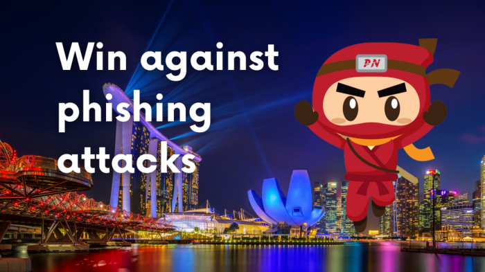 Phishing attack mimics nintendo