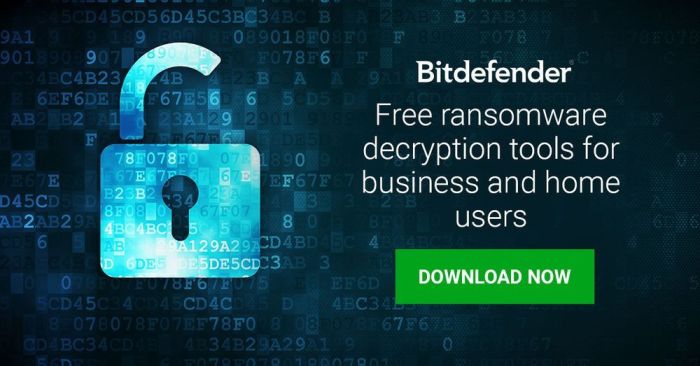 Gandcrab bitdefender v5 decryption Gandcrab bitdefender v5 decryption