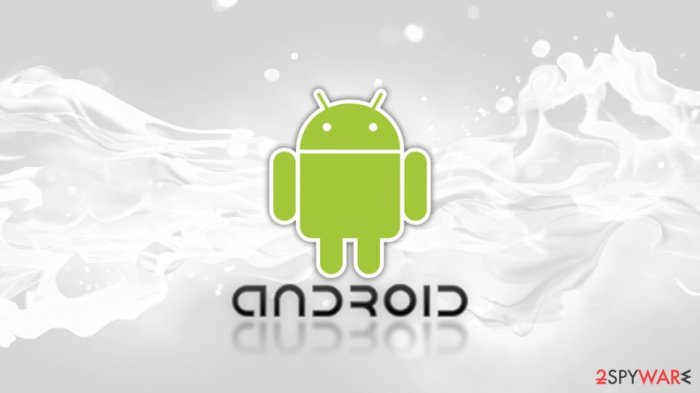 Samsung use after free zero day vulnerability