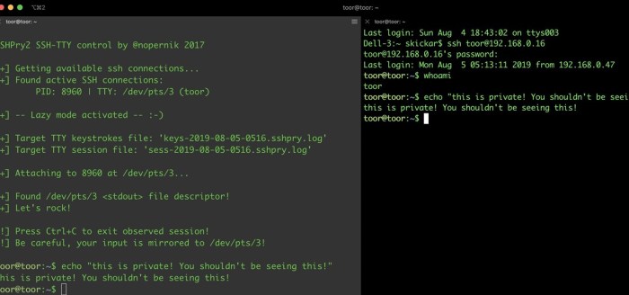 Cisco asa ssh remote command injection flaw