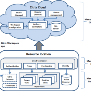 Citrix Virtual Apps Desktops RCE A Deep Dive