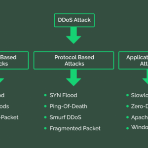 Detecting Classifying DDoS Attacks