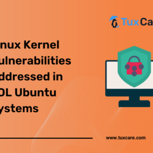 10 Year Old Flaws in Ubuntu Server A Deep Dive