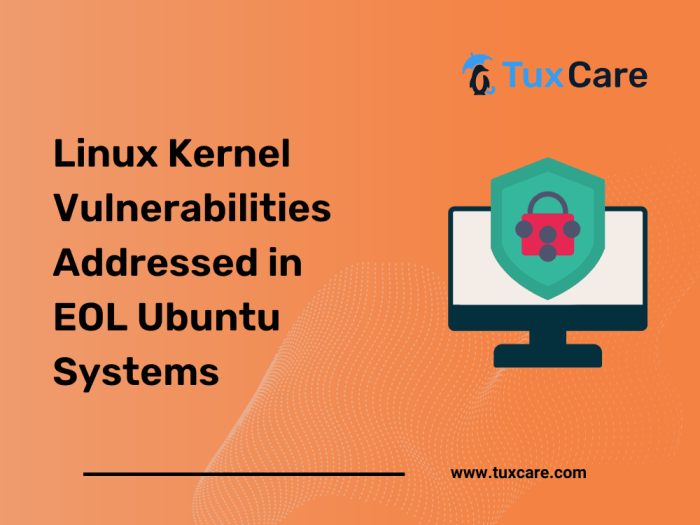 10 year old flaws in ubuntu server