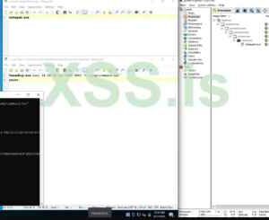 Veeam RCE Frag Ransomware A Deep Dive