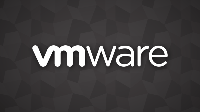Vmware workstation free users