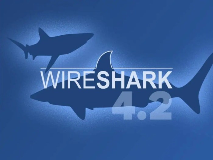 Wireshark 4 4 2 released