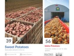 produce news