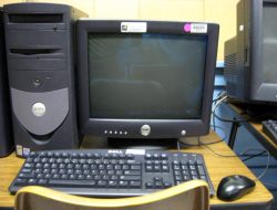 computer science vs it Understanding the Differences