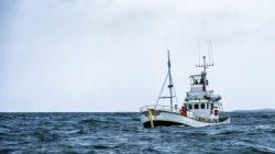 Commercial Boat Insurance Quote For Ultimate Peace Of Mind