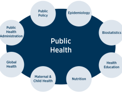 Online masters of public health for a brighter future