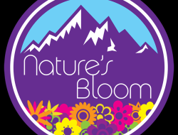 bloom effects skincare Revolutionize Your Routine