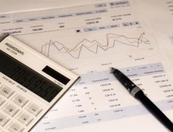 Business and administration course online for success