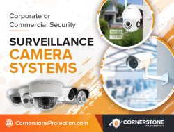 Commercial surveillance camera system for safety