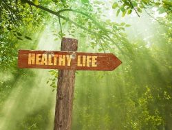 Journey To Health A Transformative Exploration Awaits