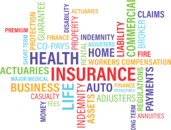 Insurance For Trucking Company Coverage That Drives Success