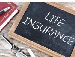 Insurance Companies For Trucks That Protect Your Journey