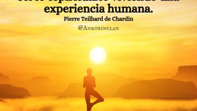 humana health care insurance Your Path to Wellness