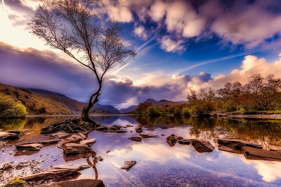 Best Cars 2024 Reddit India - Joyan Malvina Best Cars 2024 Reddit India - Joyan Malvina